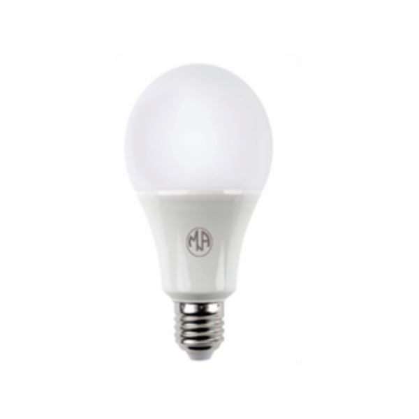 LED BULB